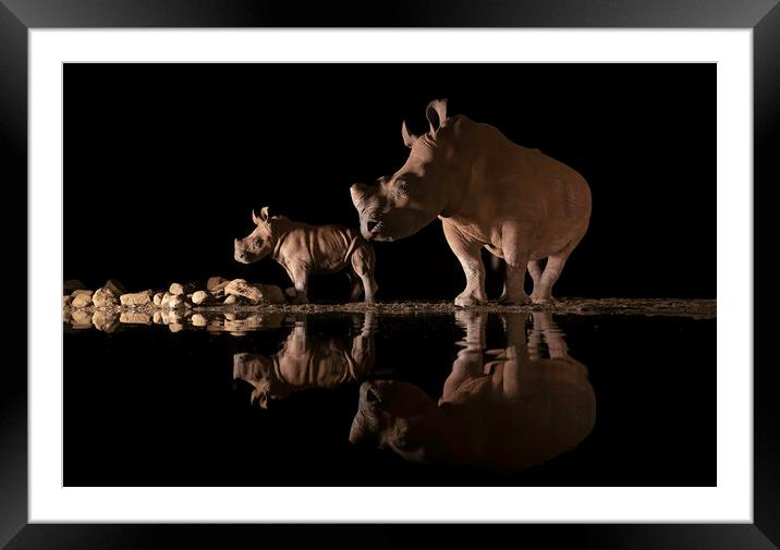 Rino Reflections Framed Mounted Print by Pam Mullins