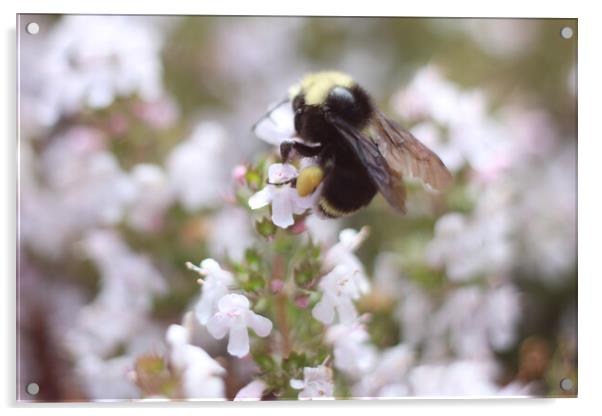 Bee a flower Acrylic by Julian Tejeda