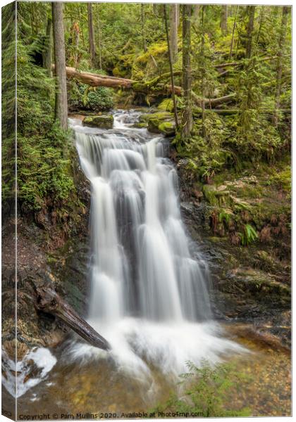 Waterfall Canvas Print by Pam Mullins