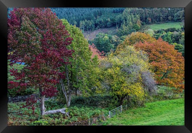 Autumn in the Talybont Valley Brecon Beacons Wales Framed Print by Nick Jenkins