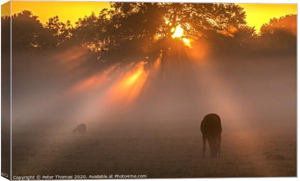 Early morning mist  in the Vale Canvas Print by Peter Thomas