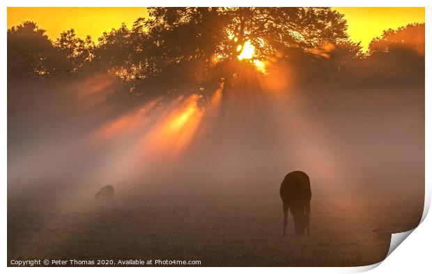 Early morning mist  in the Vale Print by Peter Thomas