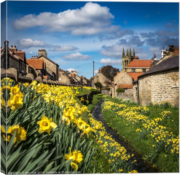 Helmsley daffodils Canvas Print by kevin cook