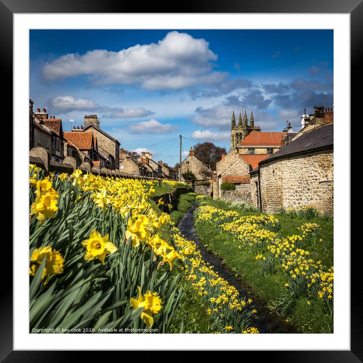 Helmsley daffodils Framed Mounted Print by kevin cook