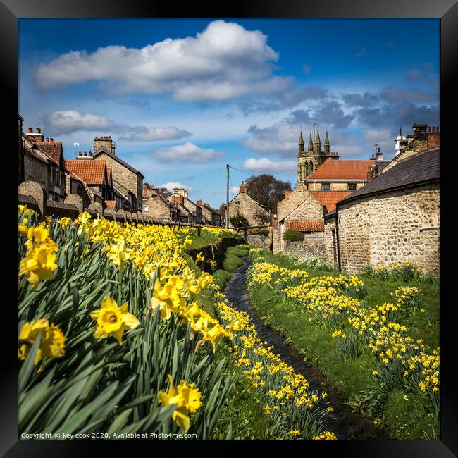 Helmsley daffodils Framed Print by kevin cook