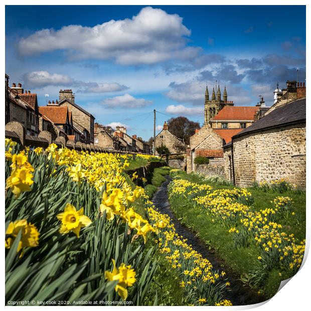 Helmsley daffodils Print by kevin cook