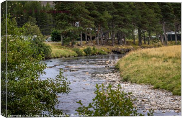 Findhorn River, close to source. Canvas Print by Mark Ambrose