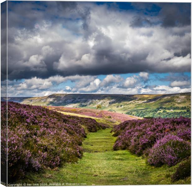 Heather Path Canvas Print by kevin cook