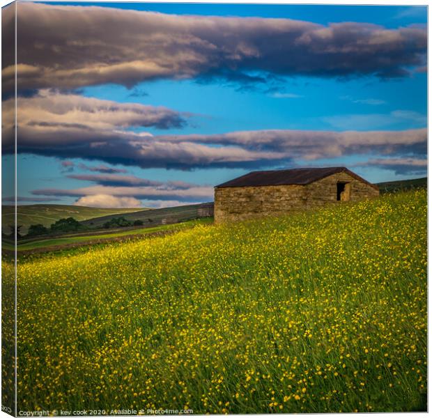 Buttercup Barn Canvas Print by kevin cook