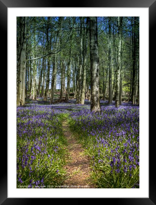 Bluebell path Framed Mounted Print by kevin cook