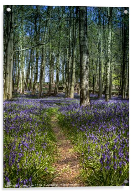 Bluebell path Acrylic by kevin cook