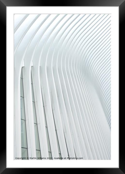 Abstract of The Oculus, New York Framed Mounted Print by Martin Williams