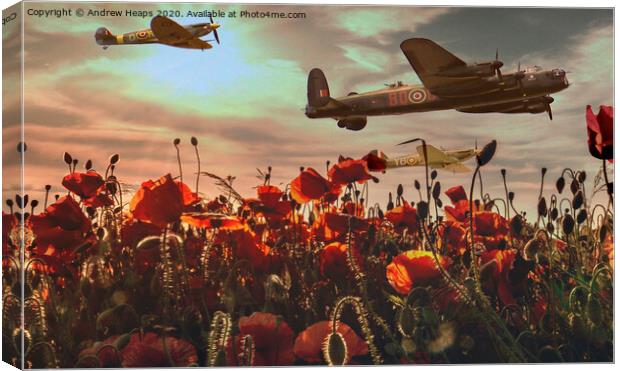 Wartime flight over poppies Spitfire & Lancaster b Canvas Print by Andrew Heaps