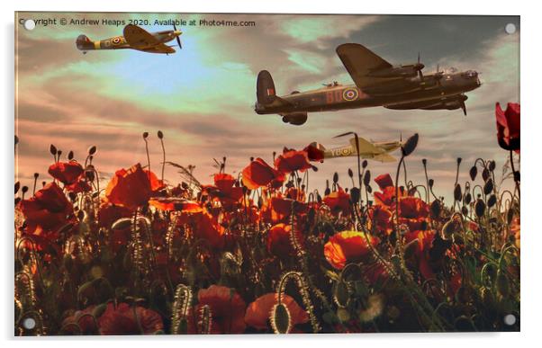 Wartime flight over poppies Spitfire & Lancaster b Acrylic by Andrew Heaps