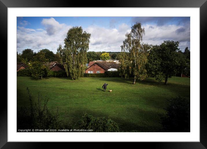 Let the dog out Framed Mounted Print by Efraim Gal