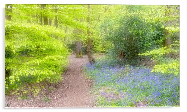 Spring Colours and bluebells in a woodland setting.  Acrylic by Peter Jones
