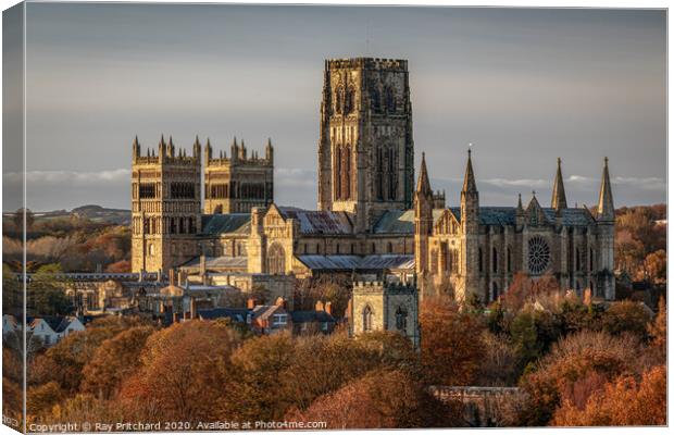 Durham Cathedral in Autumn Canvas Print by Ray Pritchard