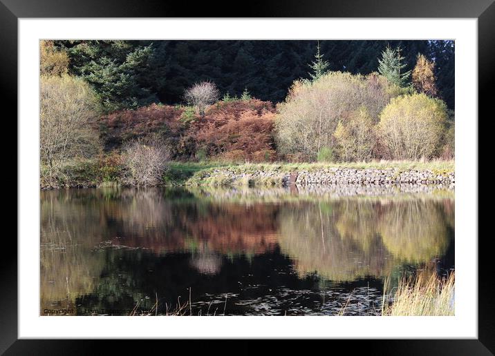 Outdoor autumn colours  Framed Mounted Print by Liam Thompson