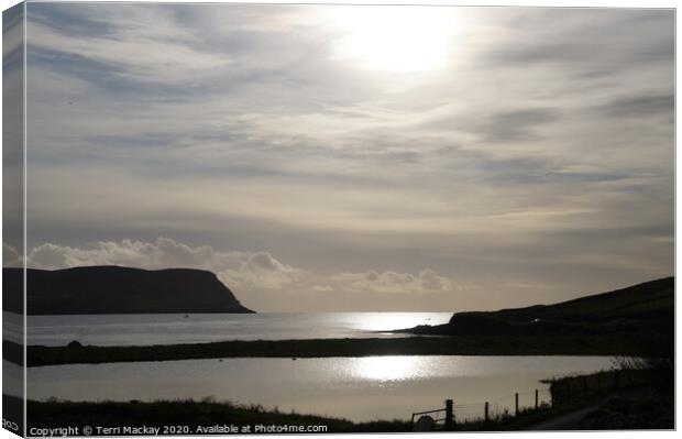 Lerwick sea reflections Canvas Print by Terri Mackay