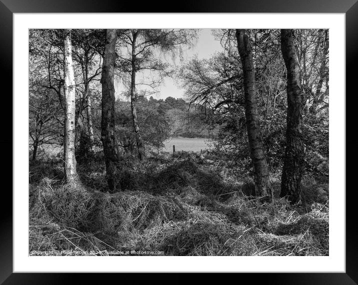The Shapes of Nature - Black & White Version Framed Mounted Print by Philip Brown