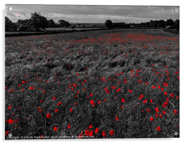 Poppies Acrylic by Darren Mark Walsh