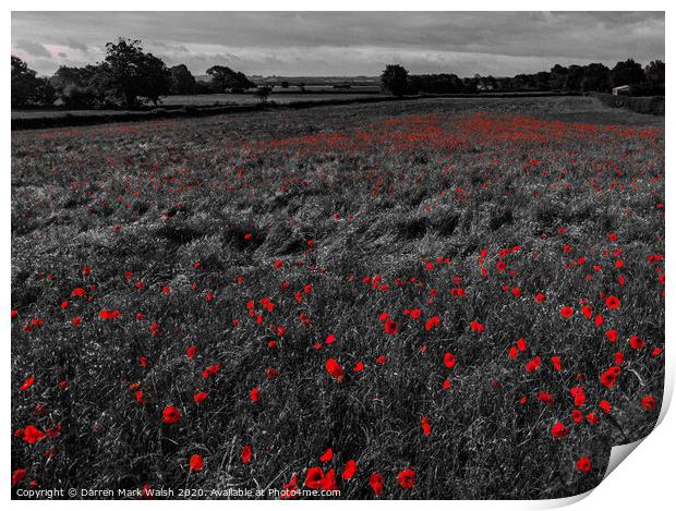 Poppies Print by Darren Mark Walsh