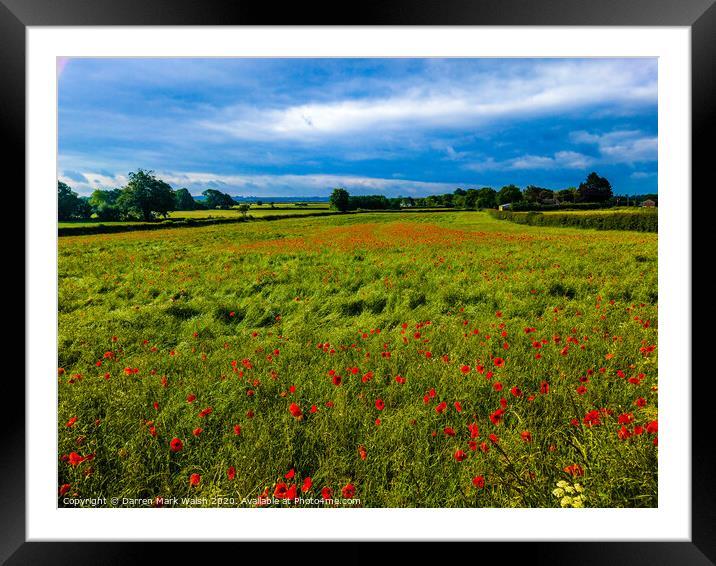 Poppy Field Framed Mounted Print by Darren Mark Walsh