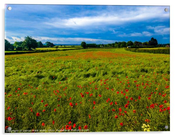 Poppy Field Acrylic by Darren Mark Walsh