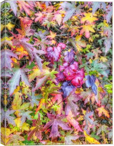 Colourful Autumn Canvas Print by Cris Thompson-Brooks