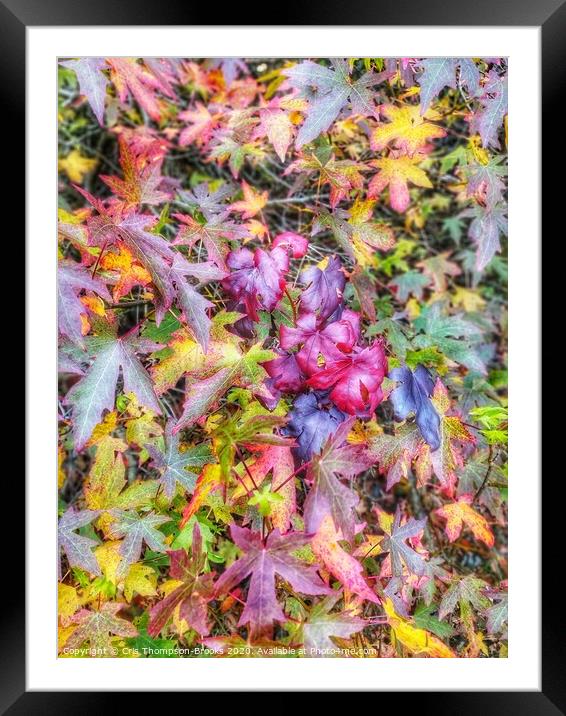 Colourful Autumn Framed Mounted Print by Cris Thompson-Brooks