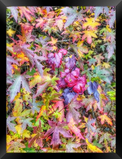 Colourful Autumn Framed Print by Cris Thompson-Brooks