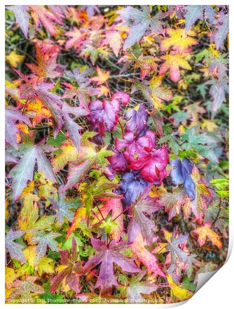 Colourful Autumn Print by Cris Thompson-Brooks