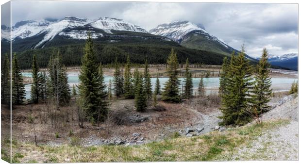 Along the Icefields Parkway Canvas Print by Belinda Greb