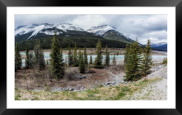 Along the Icefields Parkway Framed Mounted Print by Belinda Greb