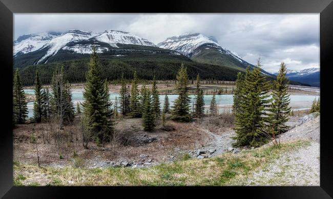 Along the Icefields Parkway Framed Print by Belinda Greb