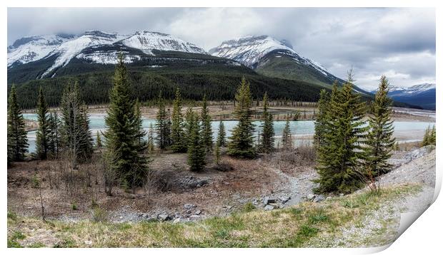 Along the Icefields Parkway Print by Belinda Greb