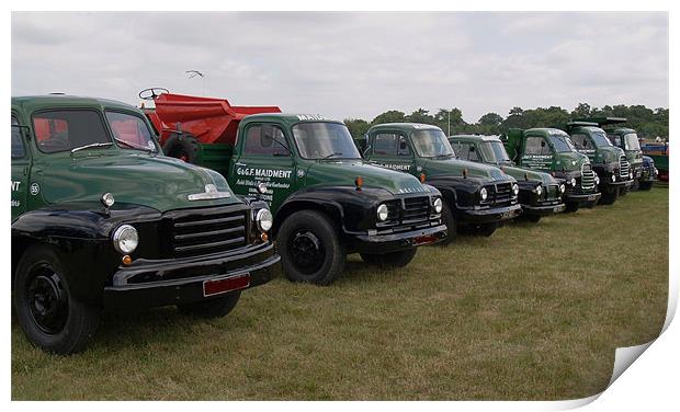 Classic Bedfords Print by Mike Streeter