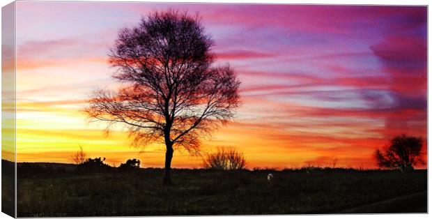 Sunrise on Fairwood Common, Gower Canvas Print by Paddy Art