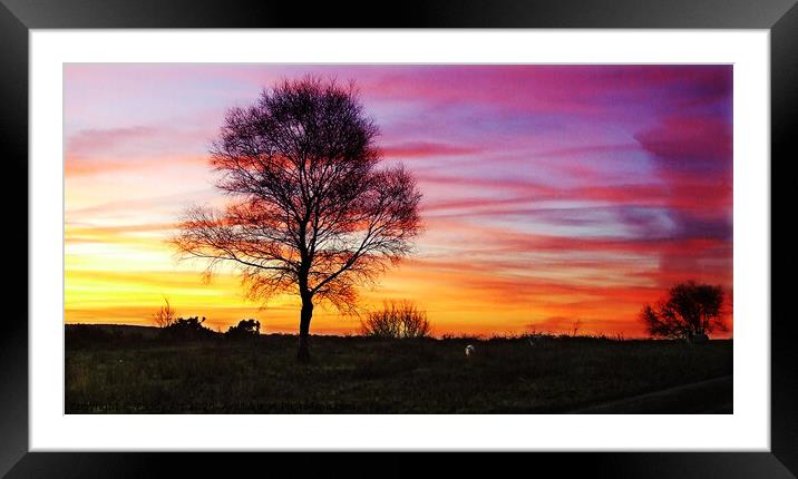 Sunrise on Fairwood Common, Gower Framed Mounted Print by Paddy Art