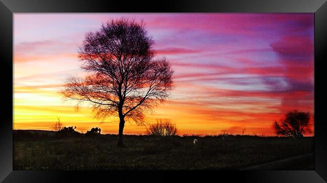 Sunrise on Fairwood Common, Gower Framed Print by Paddy Art