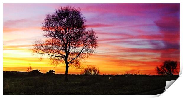 Sunrise on Fairwood Common, Gower Print by Paddy Art