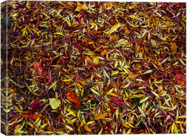 Autumn's Fallen Leaves Canvas Print by Paddy Art