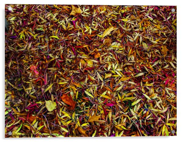 Autumn's Fallen Leaves Acrylic by Paddy Art