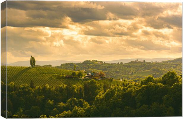 Gamlitz town in Austria Vineyards in Sulztal area south Styria, famous wine country. Canvas Print by Przemek Iciak