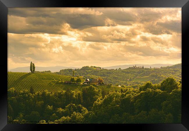 Gamlitz town in Austria Vineyards in Sulztal area south Styria, famous wine country. Framed Print by Przemek Iciak