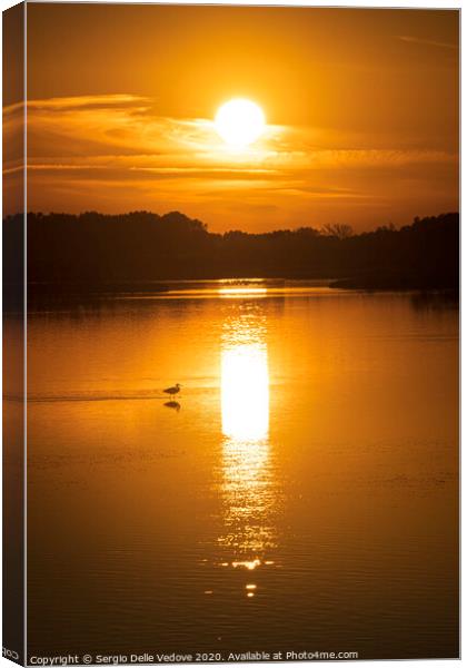 sunset on the lagoon Canvas Print by Sergio Delle Vedove