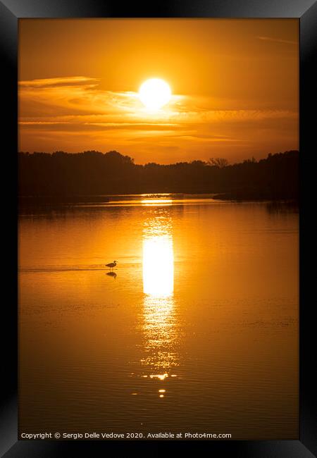 sunset on the lagoon Framed Print by Sergio Delle Vedove