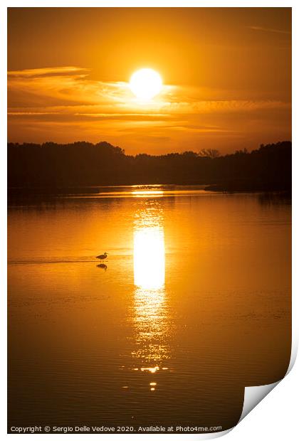 sunset on the lagoon Print by Sergio Delle Vedove