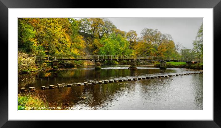 Stepping Stones and bridge Bolton Abbey Framed Mounted Print by Diana Mower