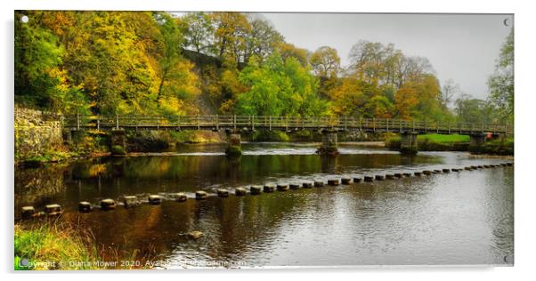 Stepping Stones and bridge Bolton Abbey Acrylic by Diana Mower